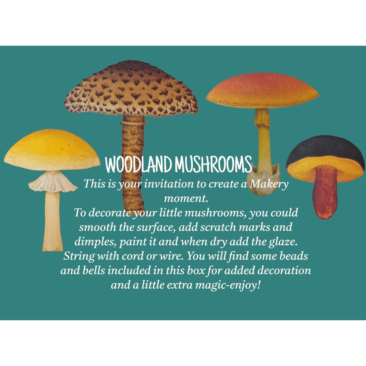 Loergann Studio Woodland Mushroom craft kit featuring various fungi illustrations for painting and decoration projects.